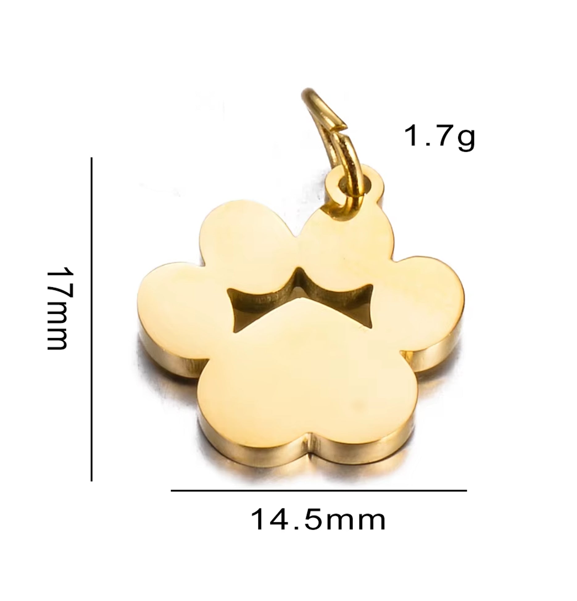 Colgante Patita de Perro/Gato - Acero Inoxidable