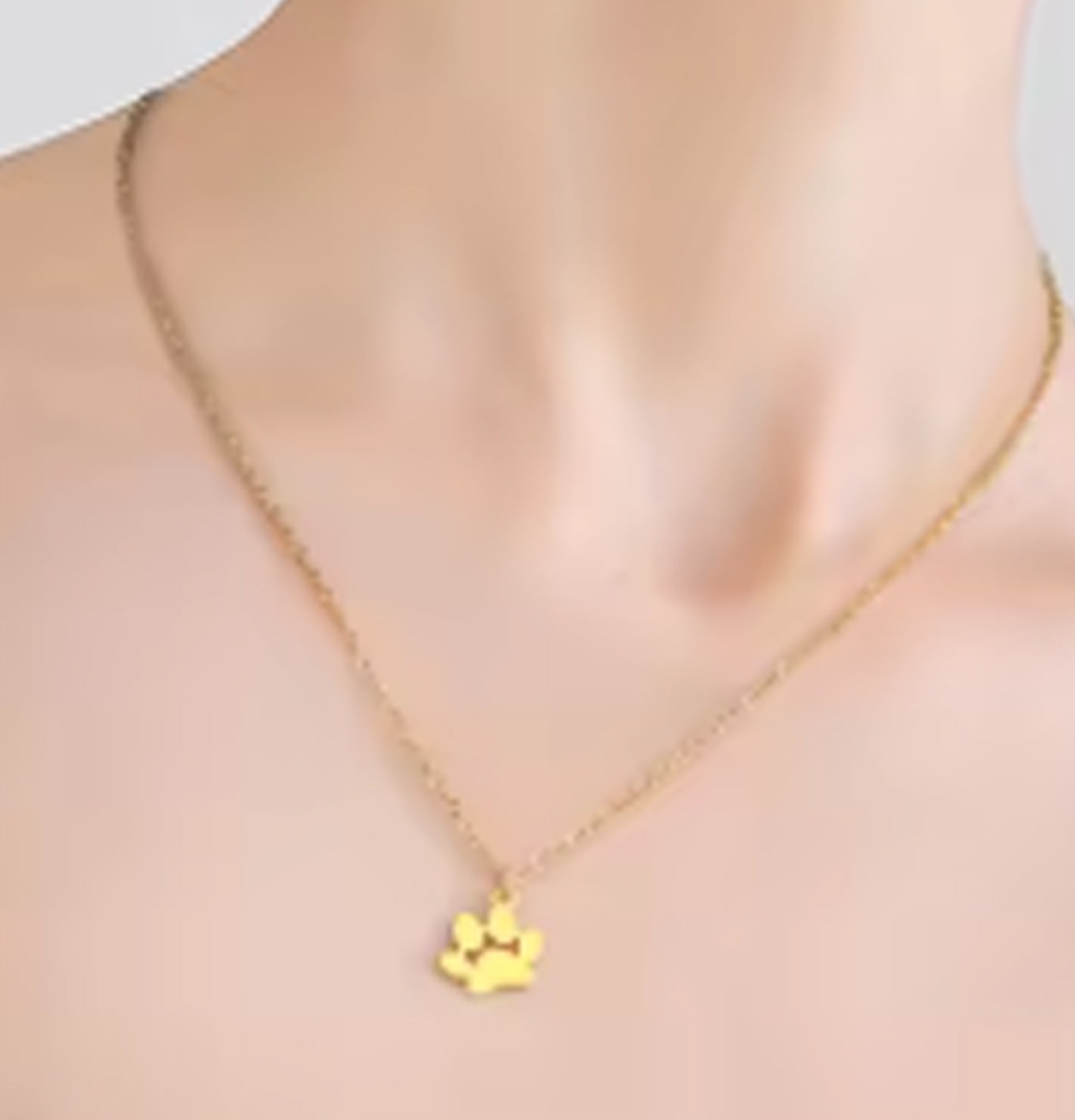 Colgante Patita de Perro/Gato - Acero Inoxidable