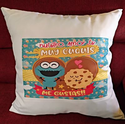 Cojines-de-frases-divertidas.jpg