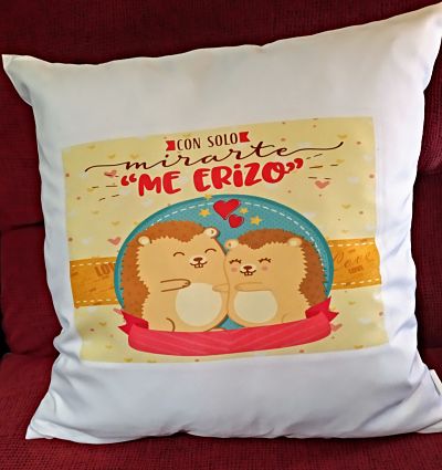 Cojines-del-dia-de-los-enamorados.jpg